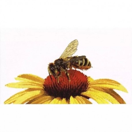 Bee on Yellow Echinacea Aida Набір для вишивання хрестиком Thea Gouverneur gouverneur_585A