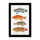 Fish Panel Linen Набор для вышивки крестом Thea Gouverneur gouverneur_2044