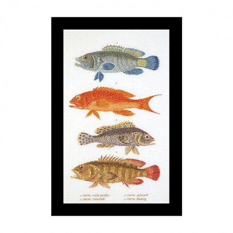 Fish Panel Linen Набор для вышивки крестом Thea Gouverneur gouverneur_2044