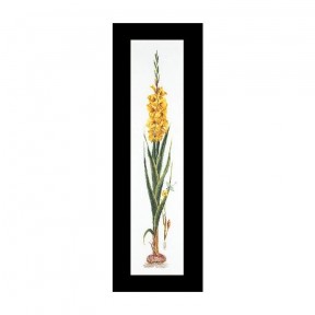 Gladioli Yellow Linen Набір для вишивання хрестиком Thea Gouverneur gouverneur_3072