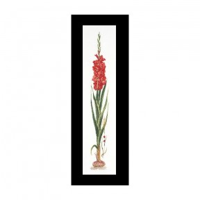 Gladioli Red Linen Набор для вышивки крестом Thea Gouverneur gouverneur_3073