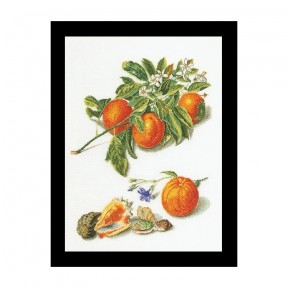 Oranges & Mandarins Linen Набор для вышивки крестом Thea Gouverneur gouverneur_3061