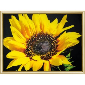 "Солнечный цветок" Набор картина стразами Чарівна Мить КС-161