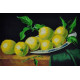 Набор для вышивания Картины Бисером Р-212 Натюрморт с лимонами