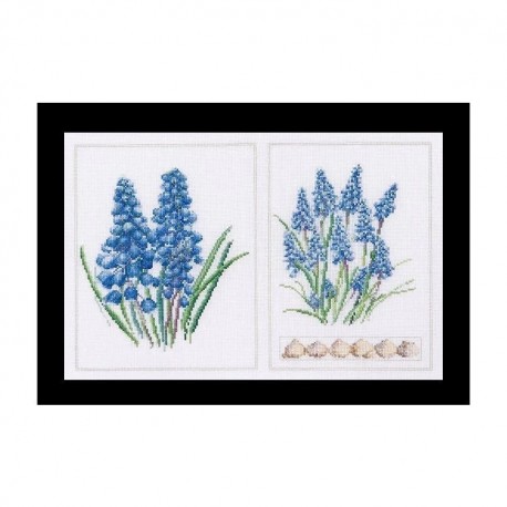 Muscari Panel Aida Набор для вышивки крестом Thea Gouverneur gouverneur_443A