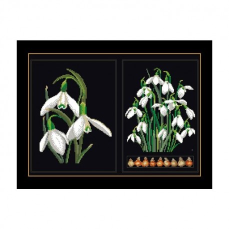 Snowdrops Panel Black Aida Набор для вышивки крестом Thea Gouverneur gouverneur_446.05