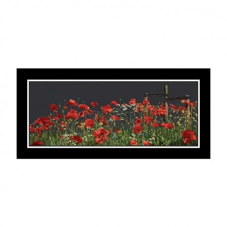 Poppies Black Aida Набор для вышивки крестом Thea Gouverneur gouverneur_546.05