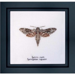 Sphinx moth Aida Набор для вышивки крестом Thea Gouverneur gouverneur_564A