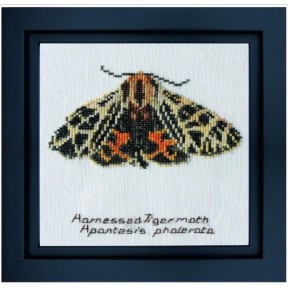 Harnessed Tiger moth Linen Набор для вышивки крестом Thea Gouverneur gouverneur_569