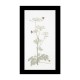 Cow Parsley Aida Набор для вышивки крестом Thea Gouverneur gouverneur_1067A