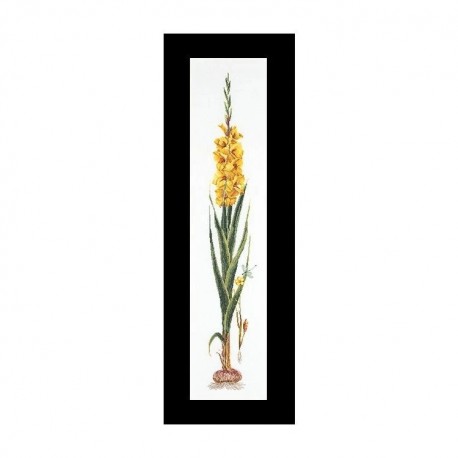 Gladioli Yellow Aida Набор для вышивки крестом Thea Gouverneur gouverneur_3072A