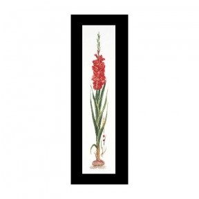 Gladioli Red Aida Набор для вышивки крестом Thea Gouverneur gouverneur_3073A