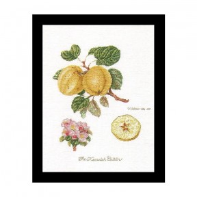 Keswick Apple Linen Набор для вышивки крестом Thea Gouverneur gouverneur_2057