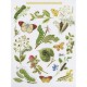 Caterpillars & Butterflies Linen Набор для вышивки крестом Thea Gouverneur gouverneur_587