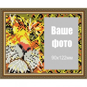 Ягуар Набір паспарту для фото ArtSolo АТ6309