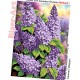 Бузок Схема для вишивання бісером Biser-Art A541ба