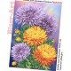 Астры Схема для вышивания бисером Biser-Art A549ба