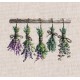ПРЕДЗАКАЗ Ароматические ветви. Aromatic Branches Набор для вышивания крестом AVA P058