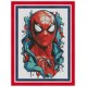 Spider man Електронна схема для вишивання хрестиком Інна Холодна ФН-076