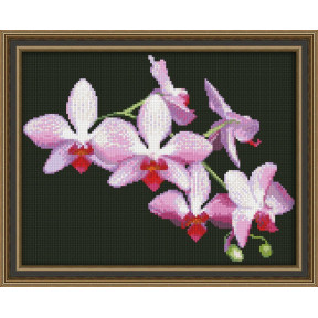 Набор для вышивки крестом Юнона 0116 Ветка орхидеи фото