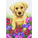 Набір для вишивання Anchor PCE759 Puppy / Щеня фото