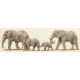 Набір для вишивання Anchor PCE732 Elephant Stroll / Слони на прогулянці