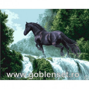 Набор для вышивания гобелен Goblenset G961 Чёрный красавец фото