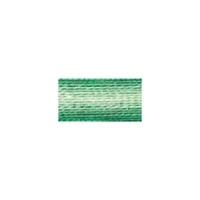 Муліне Variegated Seafoam Green DMC125