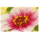 Набор для вышивания крестом DMC BK1340 Pink Dahlia (Розовая георгина)