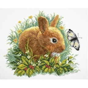 Набор для вышивки RTO M323 Кролик и бабочка