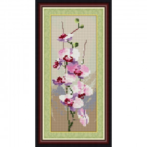 Набор для рисования камнями алмазная живопись Dream Art Орхидея (панель) (квадратные, полная) 30038D