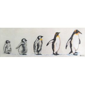 Набір для вишивання Anchor PCE751 Penguins in a row / Пінгвіни в ряд