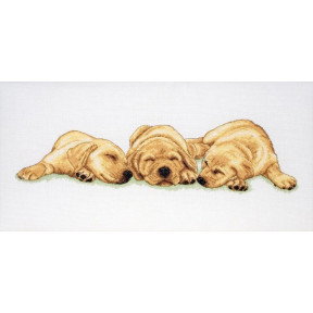 Набір для вишивання Anchor PCE726 Sleeping Labradors / Сплячі лабрадори