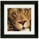 Набір для вишивання Lanarte PN-0154980 Цар звірів