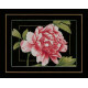 Набір для вишивання Lanarte PN-0155749 Рожева троянда
