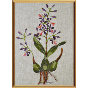 Набор для вышивания нитками Нова Слобода ЕМ-4025 Ботаника. Энциклия сердценосная