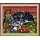 Набір для вишивки хрестиком МП Студія НВ-268 Сплячий котик фото
