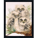 Набор для вышивания Design Works 2781 Owl Trio фото