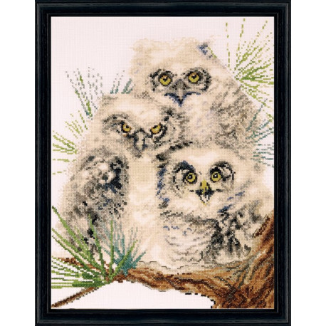 Набір для вишивання Design Works 2781 Owl Trio фото