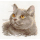 Набор для вышивки крестом Алиса 0-134 Британский кот фото