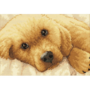 Набор для вышивки крестом Dimensions 65038 Golden Puppy