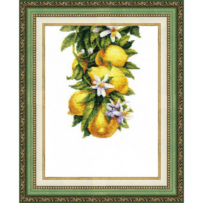 Набор для вышивания крестом  Чарівна Мить ВТ-136 Полезные лимоны