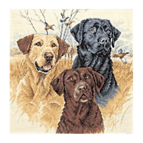 Набір для вишивання Dimensions 35096 Great Hunting Dogs фото