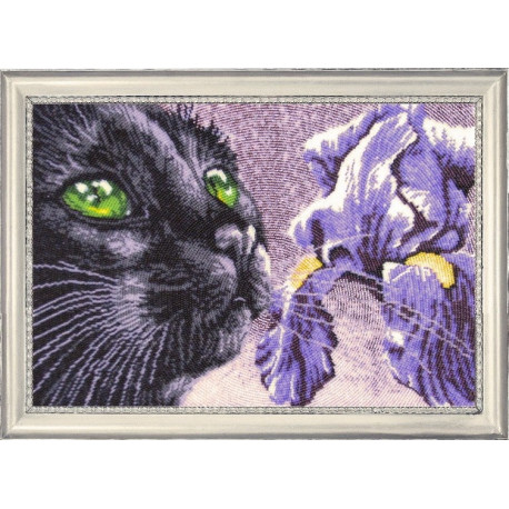 Набор для вышивания бисером Butterfly 627 Фиолетово-черный фото
