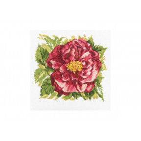 Набор для вышивки крестом RTO M371 Английская роза фото
