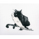 Набір для вишивання хрестиком RTO M665 Серед чорних котів фото