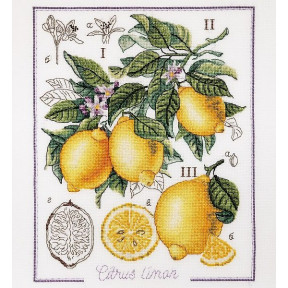Набор для вышивки крестом Alisena 1260а Ботанический батл – Лимон