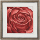 Набір для вишивання Permin 70-1150 Red rose
