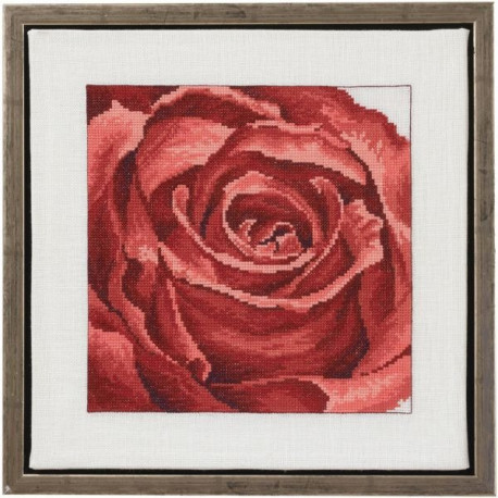 Набор для вышивания Permin 70-1150 Red rose фото