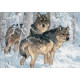 Набір для вишивки хрестиком Dimensions 65004 Winter Wolves фото